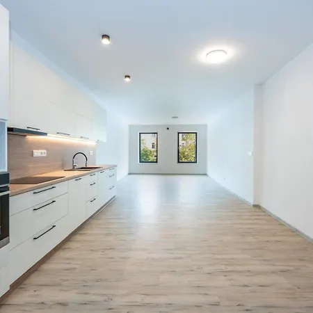 Apartment Spacious Two-storey With A Terrace In The Center Benesov (Central Bohemian)