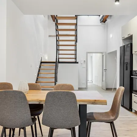 Apartment Spacious Two-storey With A Terrace In The Center *