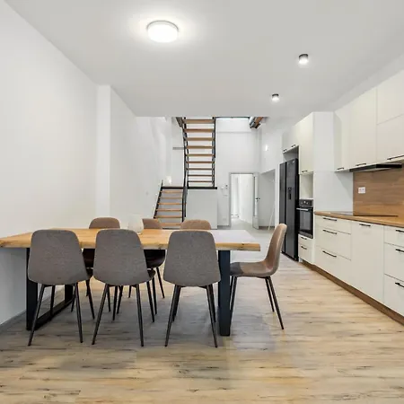アパート Spacious Two-storey With A Terrace In The Center ベネショフ